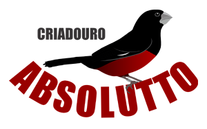 Contato | Criadouro Absolutto - Curió - Paulo Afonso - Bahia
